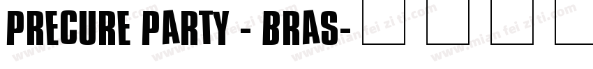 PreCure Party - Bras字体转换